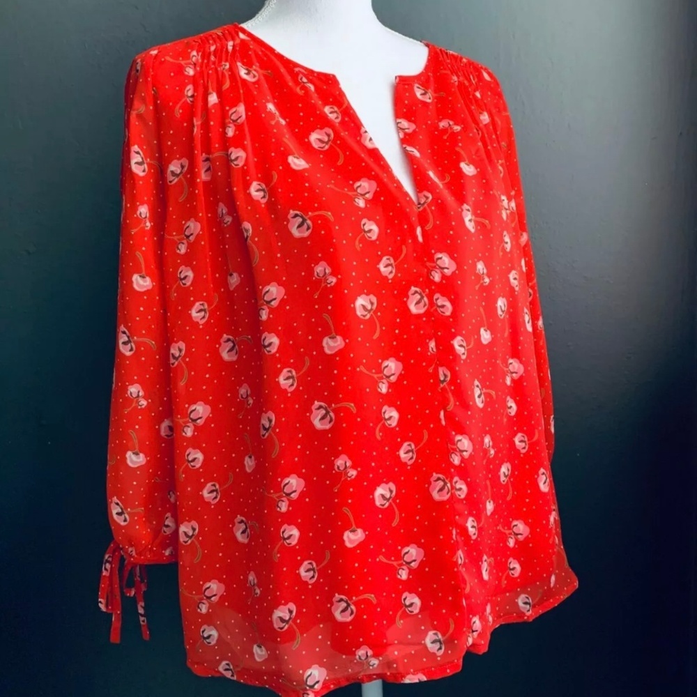 Collective Concepts Sheer Y-Neck Blouse